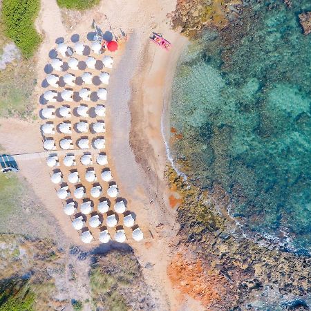 Torre Guaceto Greenblu Resort 斯培基奥拉 外观 照片