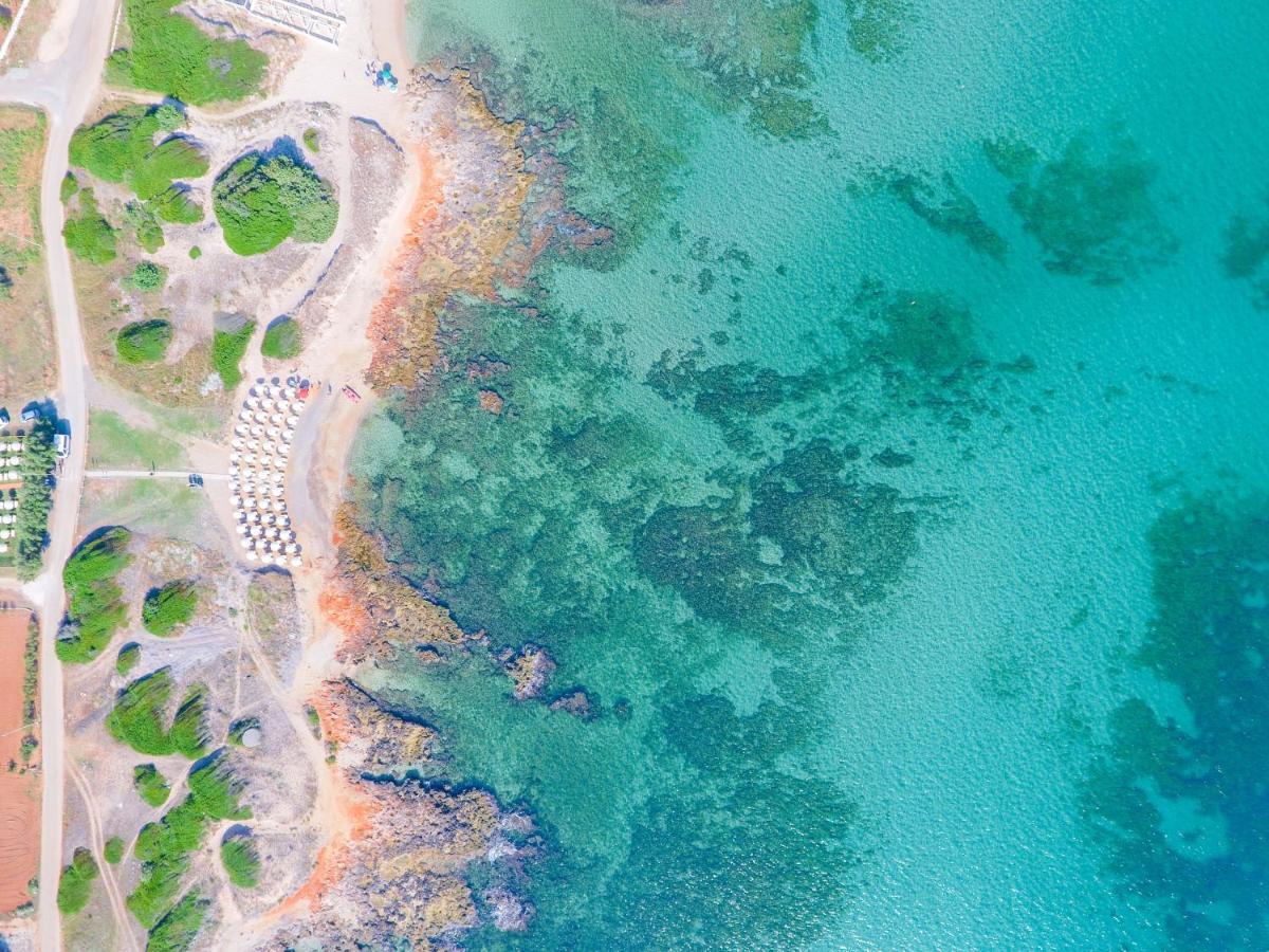 Torre Guaceto Greenblu Resort 斯培基奥拉 外观 照片